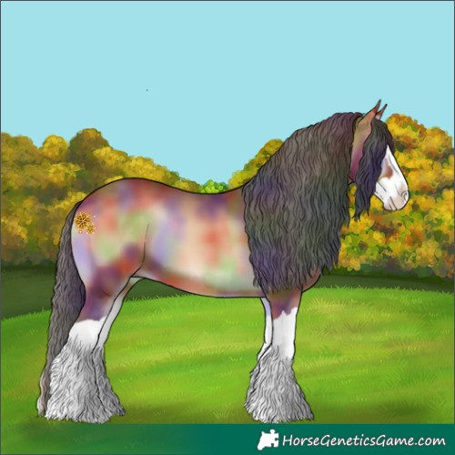 Horse Color:Nacre Bay Onyx Splash 