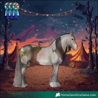 Horse Color:White Spotted Brown and Chocolate Brown Varnish