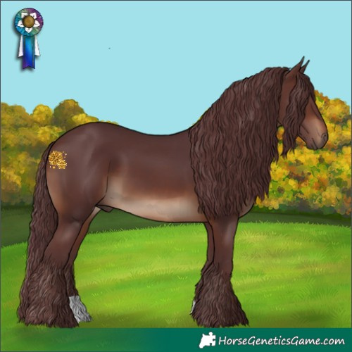 Horse Color:Chocolate Brown 