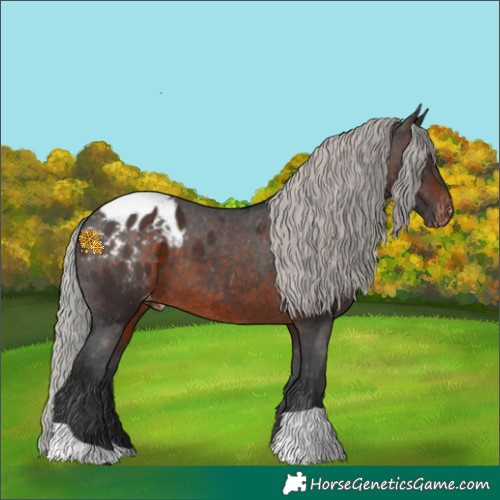 Horse Color:Silver Brown Blanket 