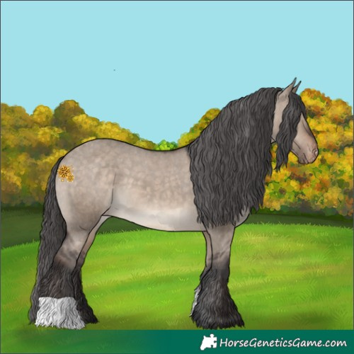 Horse Color:Brown Dun Varnish 