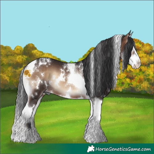 Horse Color:White Spotted Brown Onyx Splash Tobiano 