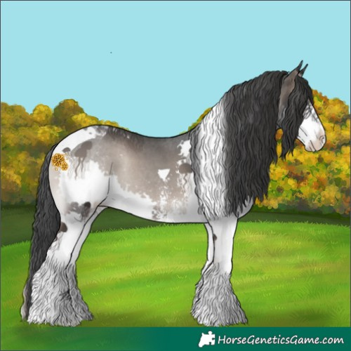 Horse Color:Blue Onyx Sabino Splash Tobiano 