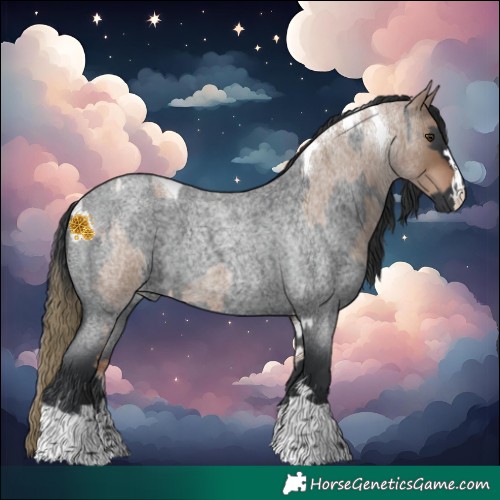 Horse Color:Liver Red Dun Roan Tobiano and Blue Roan