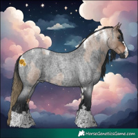 Horse Color:Liver Red Dun Roan Tobiano and Blue Roan