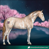 Horse Color:Bay Pearl Sabino