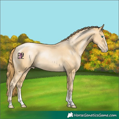 Horse Color:Smoky Black Pearl Sabino Splash Tobiano 