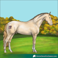 Horse Color:Smoky Black Pearl Sabino Splash Tobiano 