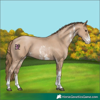 Horse Color:Black Pearl Sabino 