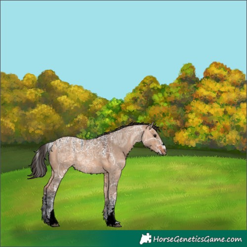 Horse Color:Powder White Bay Ice Dun Rabicano 