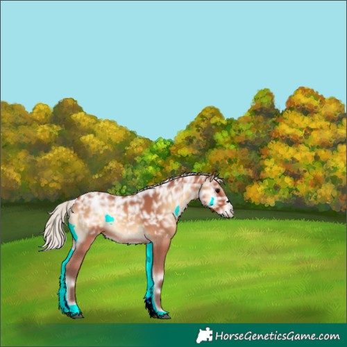 Horse Color:Powder White Silver Bay Ice Onyx Frame Rabicano 