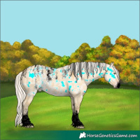 Horse Color:Powder White Void Silver Amber Cream Champagne Ice Dun Rabicano 