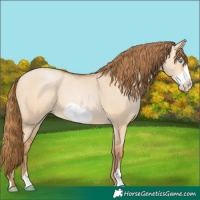 Horse Color:Bay Pearl Dun Frame 