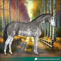 Horse Color:Grullo Sabino Splash and Grullo Sabino Splash
