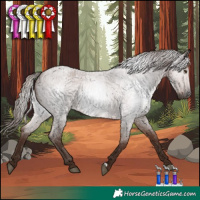 Horse Color:Gray Red Roan Rabicano 