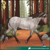 Horse Color:Gray Red Roan Rabicano 
