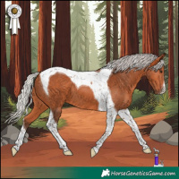 Horse Color:Silver Bay Tobiano 