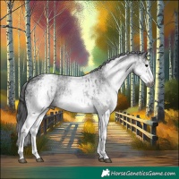 Horse Color:Gray White Spotted Smoky Black  and Gray White Spotted Smoky Black 