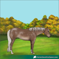 Horse Color:Silver Black