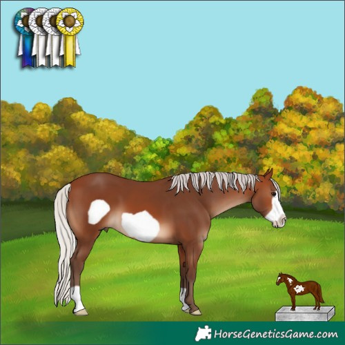 Horse Color:Silver Brown Frame 