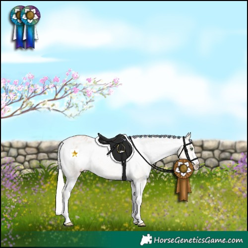 Horse Color:Silver Bay Pearl Dun Sabino Appaloosa 