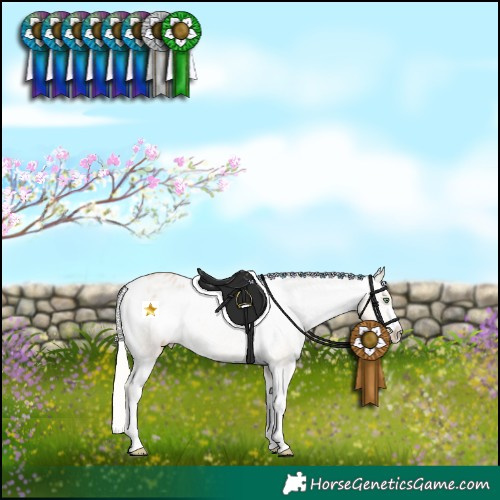Horse Color:Silver Bay Pearl Dun Sabino Varnish 