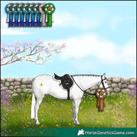 Horse Color:Silver Bay Pearl Dun Sabino Varnish 