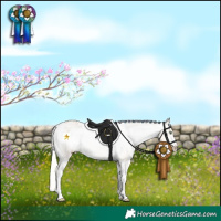 Horse Color:Silver Bay Pearl Dun Sabino Appaloosa 