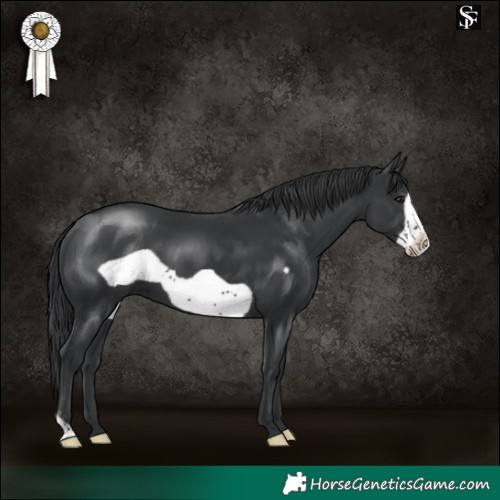 Horse Color:Black Frame 