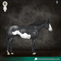 Horse Color:Black Frame 