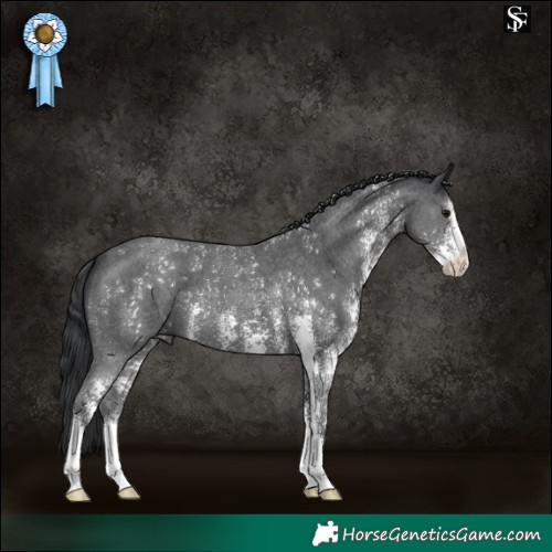 Horse Color:Black Sabino 