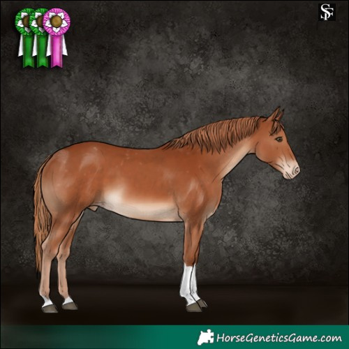 Horse Color:Chestnut Tobiano Varnish 