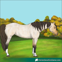 Horse Color:Buckskin Roan Dun Tobiano 