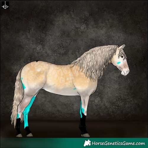 Horse Color:Palomino Ice Onyx Tobiano Varnish Rabicano 