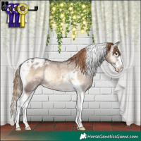 Horse Color:Liver Red Dun Ice Onyx Splash Tobiano Appaloosa Rabicano 