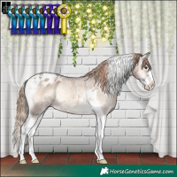 Horse Color:Liver Red Dun Ice Onyx Splash Tobiano Appaloosa Rabicano
