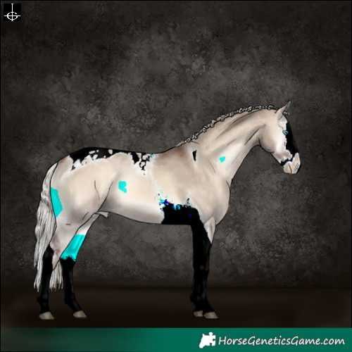Horse Color:Silver Brown Onyx Splash Tobiano Appaloosa Rabicano 