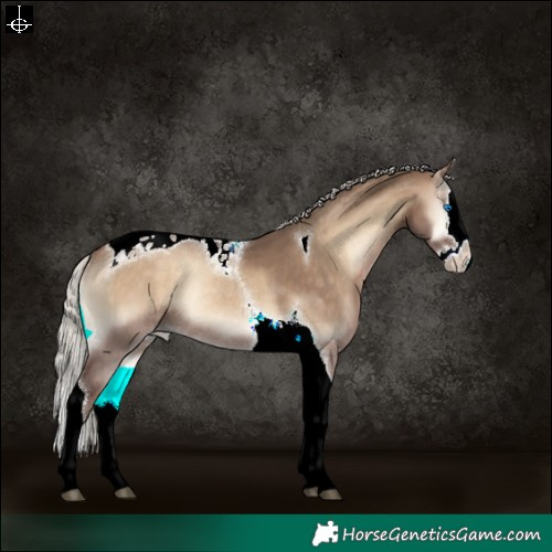 Horse Color:Silver Brown Onyx Splash Tobiano Appaloosa Rabicano 