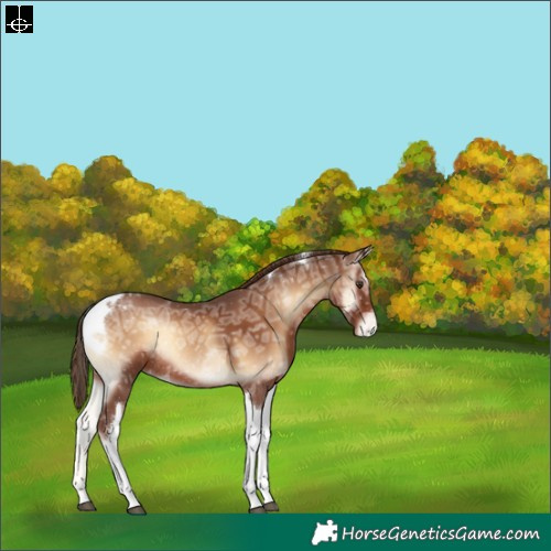 Horse Color:Red Onyx Ice Tobiano Varnish Rabicano 