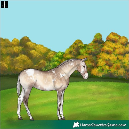 Horse Color:White Spotted Silver Brown Ice Onyx Varnish Rabicano 