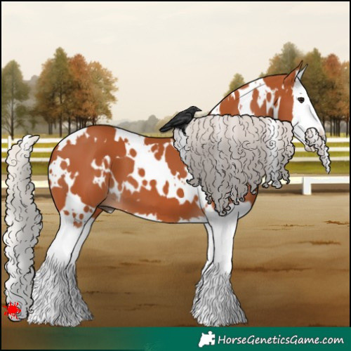 Horse Color:White Spotted Silver Bay Splash 