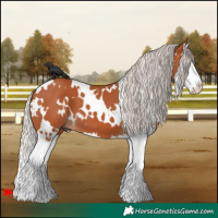 Horse Color:White Spotted Silver Bay Splash