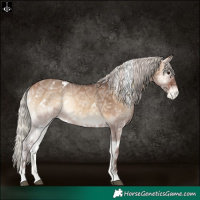 Horse Color:White Spotted Silver Brown Ice Onyx Varnish Rabicano 