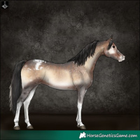 Horse Color:Brown Onyx Tobiano Varnish Rabicano 