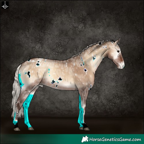 Horse Color:White Spotted Silver Brown Ice Onyx Varnish Rabicano 
