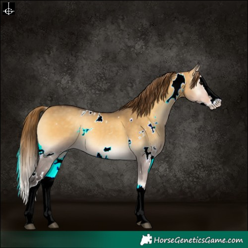 Horse Color:White Spotted Buckskin Onyx Splash Varnish Rabicano 