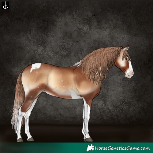 Horse Color:Red Onyx Splash Tobiano Varnish Rabicano 