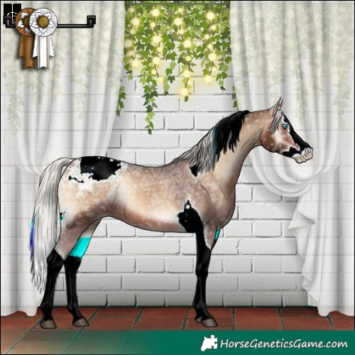 Horse Color:Silver Brown Ice Onyx Splash Tobiano Appaloosa Rabicano 