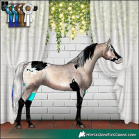 Horse Color:Silver Brown Ice Onyx Splash Tobiano Appaloosa Rabicano 