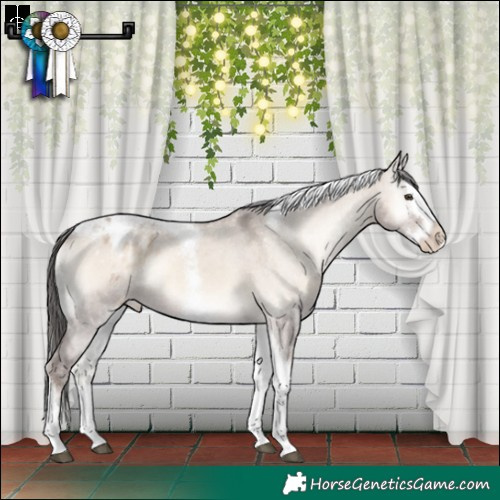 Horse Color:Liver Red Dun Onyx Splash Tobiano Varnish Rabicano 